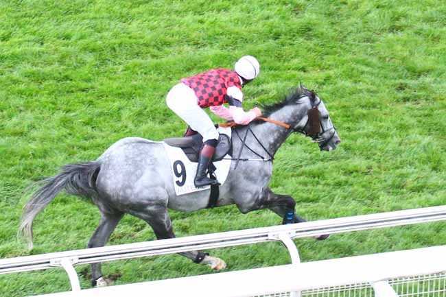Photo d'arrivée de la course pmu PRIX VIVIENNE à AUTEUIL le Jeudi 29 septembre 2022