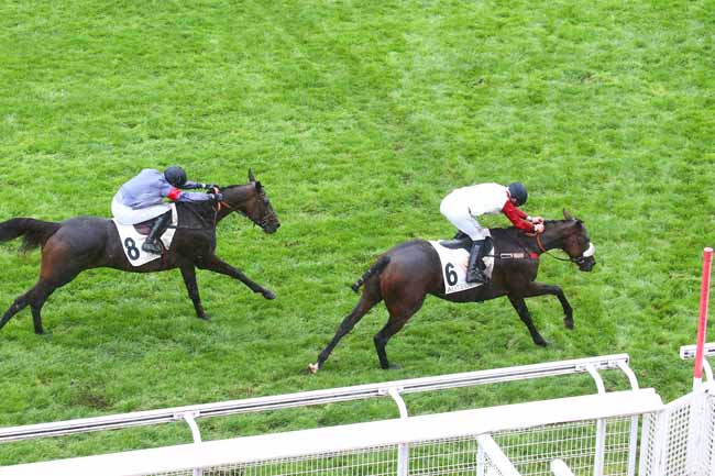 Photo d'arrivée de la course pmu PRIX GRANDLIEU à AUTEUIL le Jeudi 29 septembre 2022