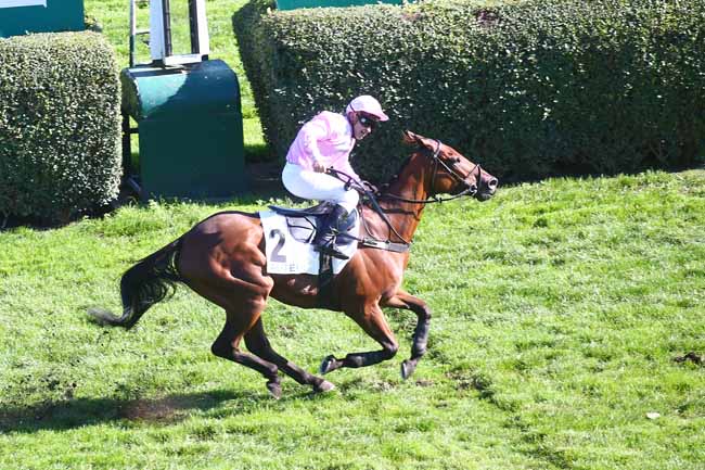 Photo d'arrivée de la course pmu PRIX BISON FUTE à AUTEUIL le Mardi 4 octobre 2022