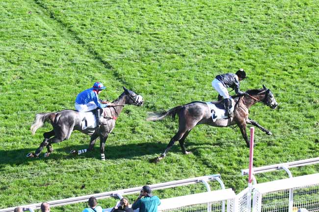 Photo d'arrivée de la course pmu PRIX PIOMARES à AUTEUIL le Mardi 4 octobre 2022