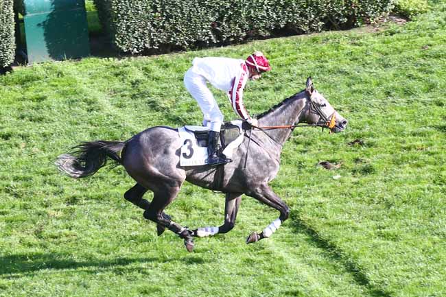 Photo d'arrivée de la course pmu PRIX DE SALERS à AUTEUIL le Mardi 4 octobre 2022