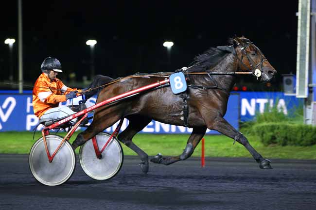 Photo d'arrivée de la course pmu PRIX CONSTANTIA à PARIS-VINCENNES le Mardi 4 octobre 2022