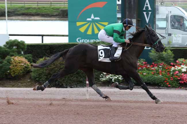 Photo d'arrivée de la course pmu PRIX V&B MONBANA MAYENNE (PRIX TIEGO D'ETANG) à LAVAL le Mercredi 5 octobre 2022