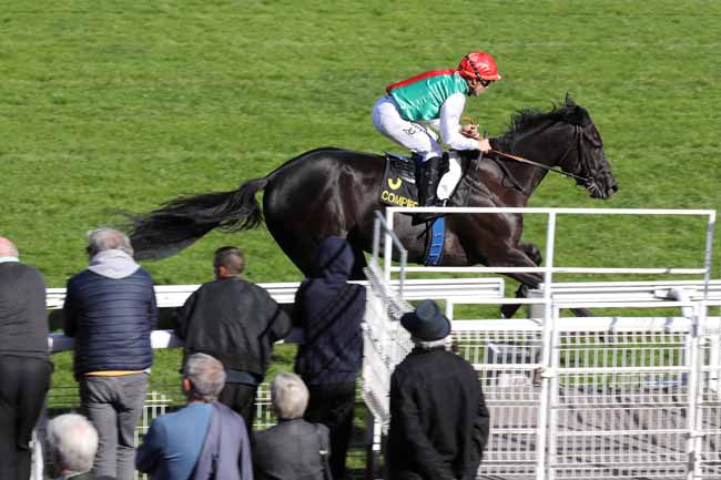Photo d'arrivée de la course pmu PRIX ADELAIDE à COMPIEGNE le Vendredi 7 octobre 2022