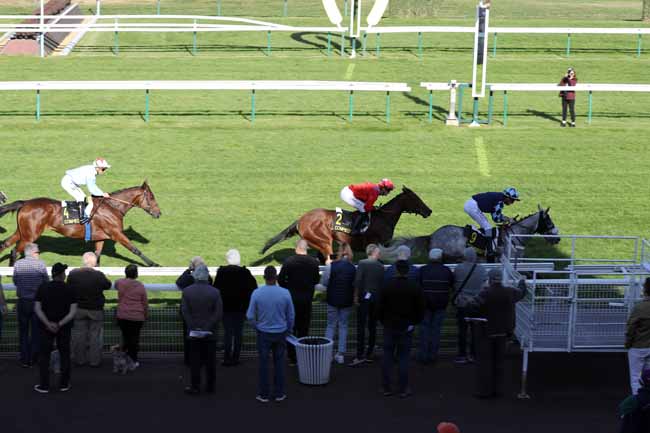 Photo d'arrivée de la course pmu PRIX DES NAIADES à COMPIEGNE le Vendredi 7 octobre 2022