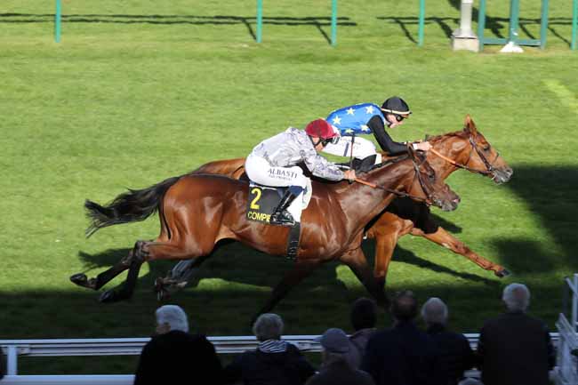 Photo d'arrivée de la course pmu PRIX DES ETANGS DE BATIGNY à COMPIEGNE le Vendredi 7 octobre 2022