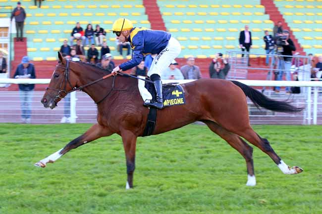 Photo d'arrivée de la course pmu PRIX DES VESTALES à COMPIEGNE le Vendredi 7 octobre 2022