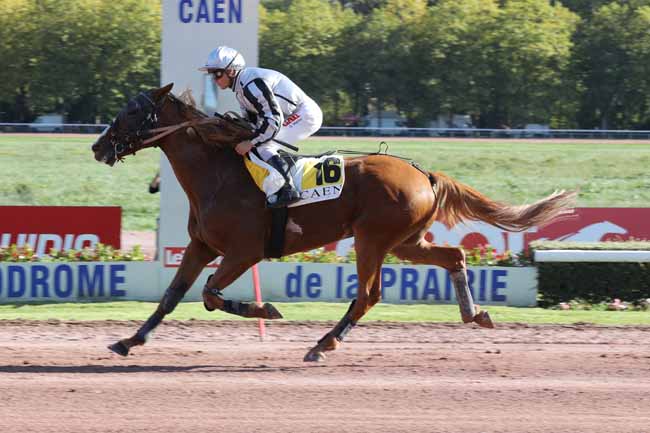 Photo d'arrivée de la course pmu PRIX DES PELICANS à CAEN le Samedi 8 octobre 2022