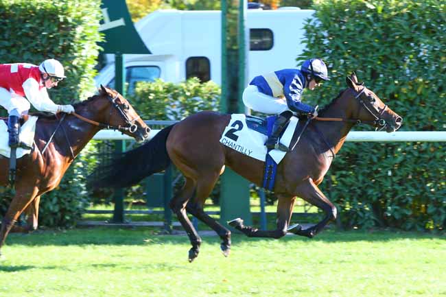 Photo d'arrivée de la course pmu PRIX DE LA MONTIGNETTE à CHANTILLY le Samedi 8 octobre 2022