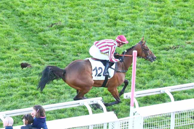Photo d'arrivée de la course pmu PRIX CLAUDE LE LORRAIN - JOSEPH AUDON à AUTEUIL le Dimanche 9 octobre 2022