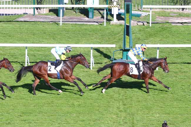 Photo d'arrivée de la course pmu PRIX BUBBLES à SAINT CLOUD le Mardi 11 octobre 2022