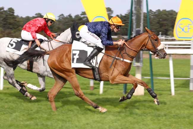Photo d'arrivée de la course pmu PRIX DE LA TABLE DU ROI à FONTAINEBLEAU le Mardi 11 octobre 2022