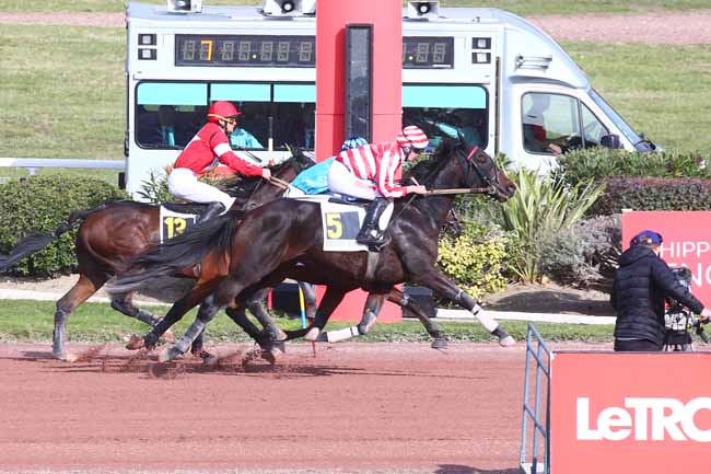 Photo d'arrivée de la course pmu PRIX DU PONT ROYAL à ENGHIEN le Mercredi 12 octobre 2022