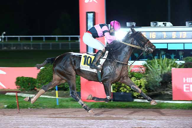 Photo d'arrivée de la course pmu PRIX DE LA PORTE D'IVRY à ENGHIEN le Jeudi 13 octobre 2022