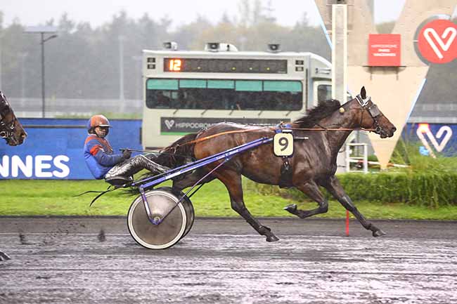 Photo d'arrivée de la course pmu PRIX INGEBORG à PARIS-VINCENNES le Vendredi 14 octobre 2022