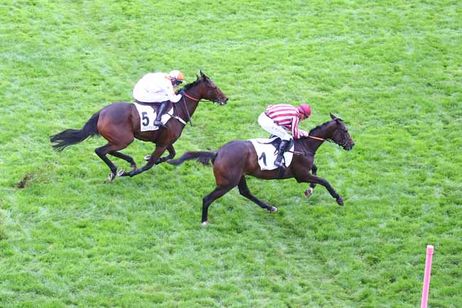Photo d'arrivée de la course pmu PRIX DE NANTES à AUTEUIL le Samedi 15 octobre 2022
