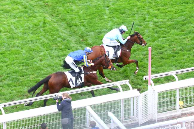 Photo d'arrivée de la course pmu PRIX GEORGES DE TALHOUET-ROY à AUTEUIL le Samedi 15 octobre 2022