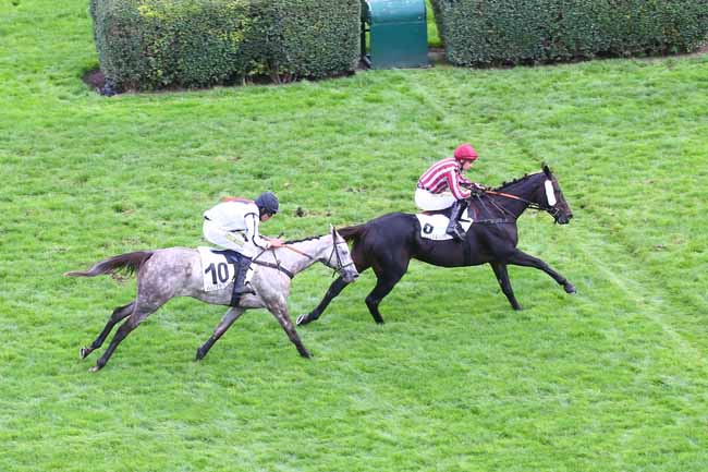 Photo d'arrivée de la course pmu PRIX HEROS XII à AUTEUIL le Samedi 15 octobre 2022