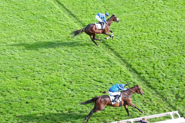 Photo d'arrivée de la course pmu PRIX CARMARTHEN à AUTEUIL le Samedi 15 octobre 2022