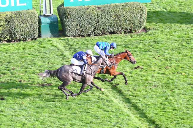 Photo d'arrivée de la course pmu PRIX ORCADA à AUTEUIL le Samedi 15 octobre 2022