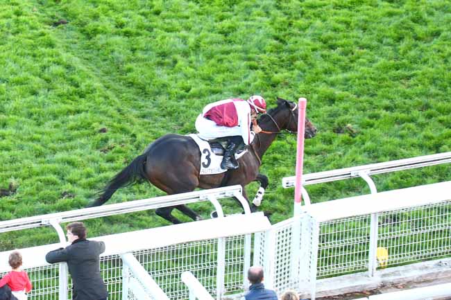 Photo d'arrivée de la course pmu PRIX SOULANGE-BODIN à AUTEUIL le Samedi 15 octobre 2022
