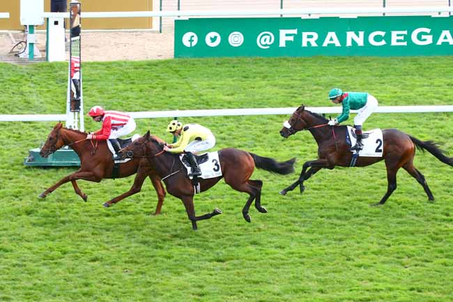 Photo d'arrivée de la course pmu PRIX DE BELLEVILLE à LONGCHAMP le Dimanche 16 octobre 2022