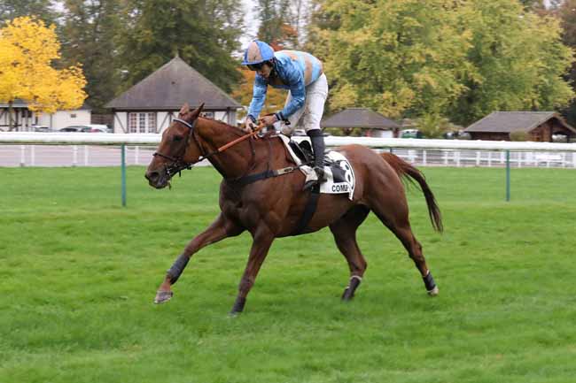 Photo d'arrivée de la course pmu PRIX BULAN à COMPIEGNE le Lundi 17 octobre 2022