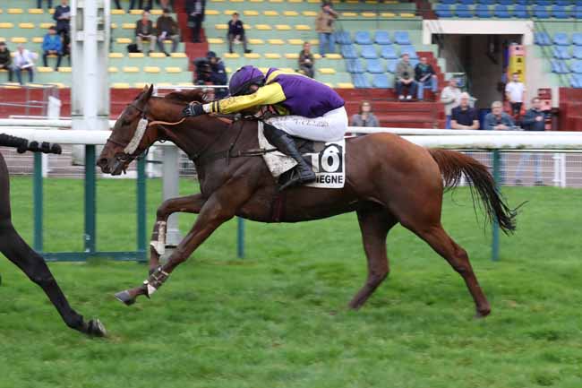 Photo d'arrivée de la course pmu PRIX DU SIMPLON à COMPIEGNE le Lundi 17 octobre 2022