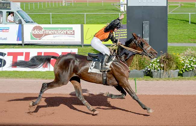 Photo d'arrivée de la course pmu PRIX DE LA VILLE DE FEURS à FEURS le Mercredi 19 octobre 2022
