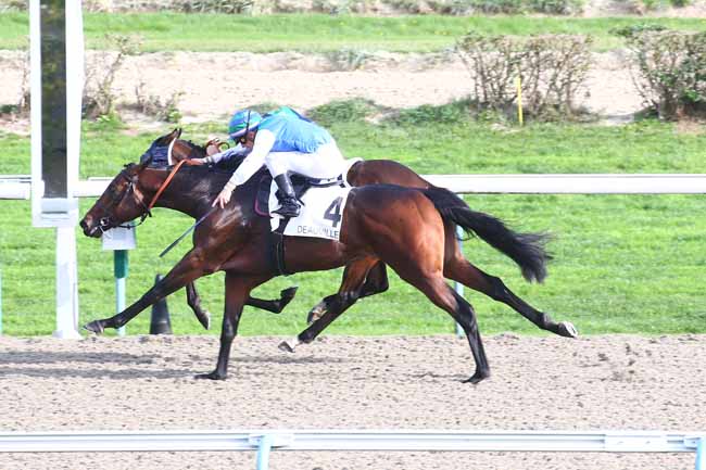 Photo d'arrivée de la course pmu PRIX DE CASTILLON à DEAUVILLE le Mercredi 19 octobre 2022