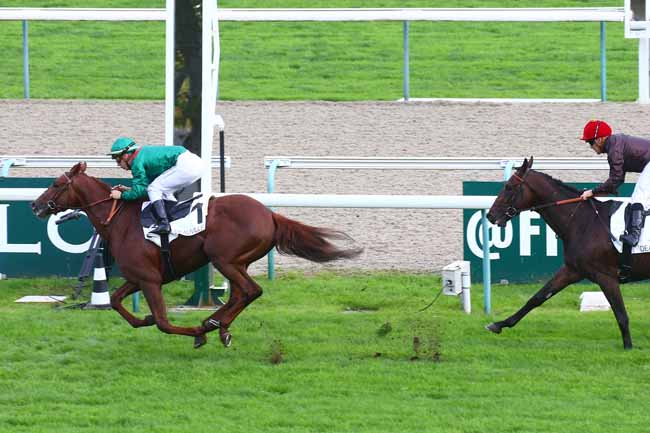 Photo d'arrivée de la course pmu PRIX ISONOMY à DEAUVILLE le Mercredi 19 octobre 2022