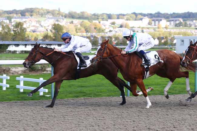 Photo d'arrivée de la course pmu PRIX HIPPODAMIA à DEAUVILLE le Jeudi 20 octobre 2022