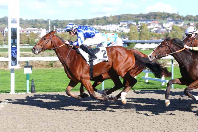Photo d'arrivée de la course pmu PRIX DU PIN-AU-HARAS à DEAUVILLE le Jeudi 20 octobre 2022