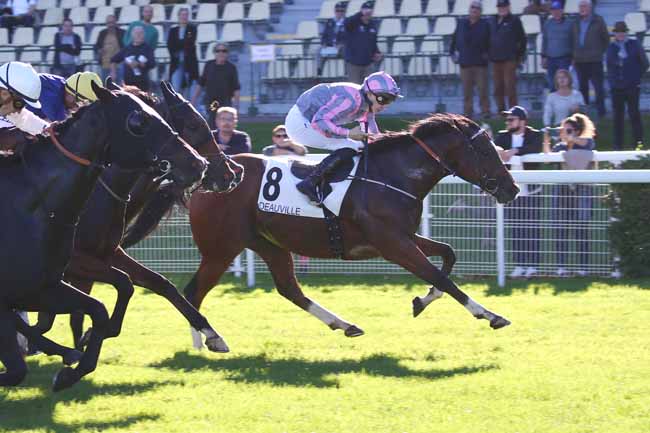 Photo d'arrivée de la course pmu PRIX DE L'ECLUSE FRANCOIS IER à DEAUVILLE le Jeudi 20 octobre 2022