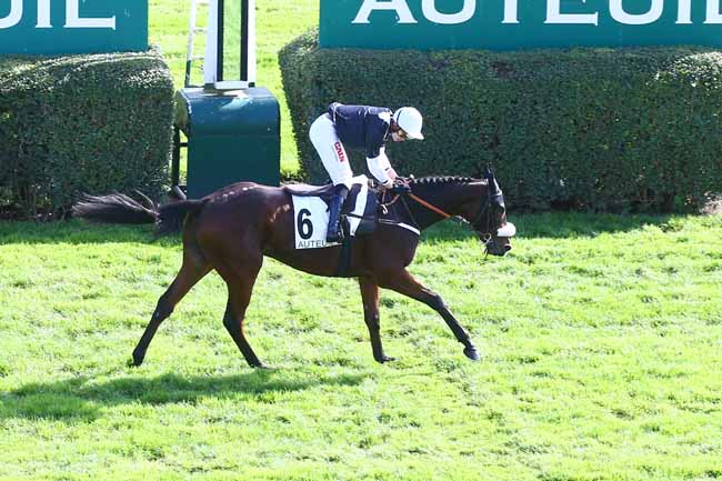 Photo d'arrivée de la course pmu PRIX FERDINAND RIANT à AUTEUIL le Jeudi 20 octobre 2022
