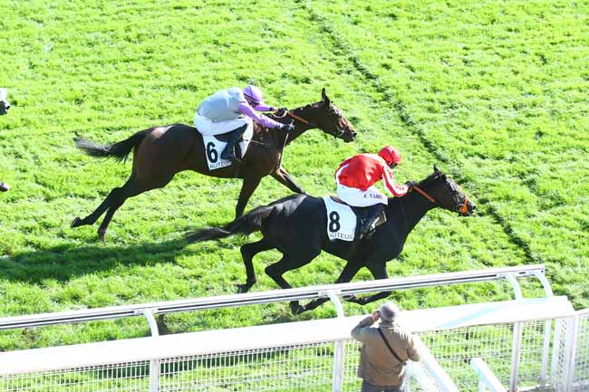 Photo d'arrivée de la course pmu PRIX EMILIUS (PELOTON 1) à AUTEUIL le Jeudi 20 octobre 2022