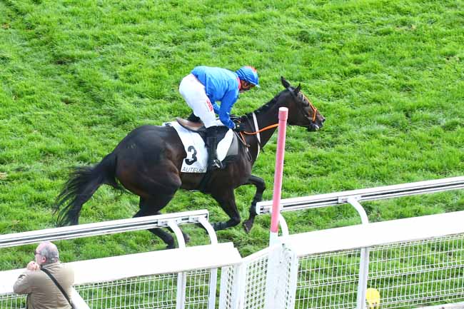 Photo d'arrivée de la course pmu PRIX EMILIUS (PELOTON 2) à AUTEUIL le Jeudi 20 octobre 2022
