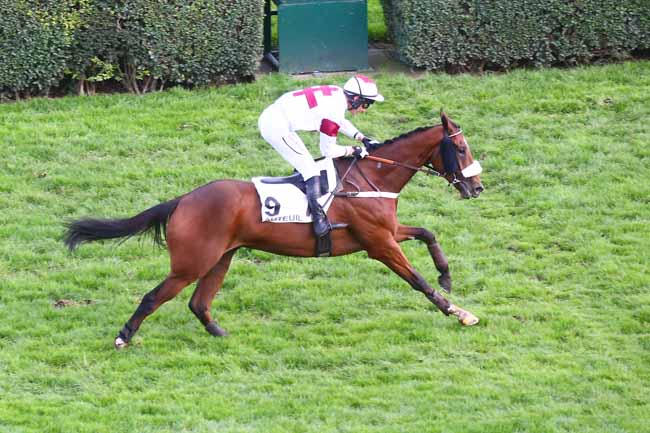 Photo d'arrivée de la course pmu PRIX ROBERT BATES à AUTEUIL le Jeudi 20 octobre 2022