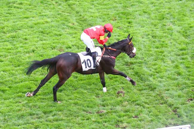 Photo d'arrivée de la course pmu PRIX PAUL'S CRAY à AUTEUIL le Jeudi 20 octobre 2022