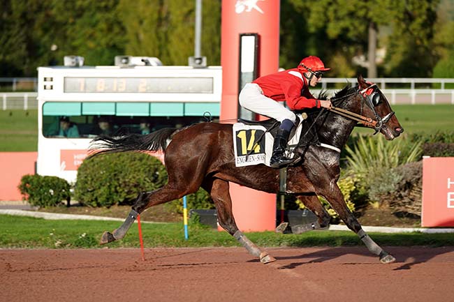 Photo d'arrivée de la course pmu PRIX DE LA PORTE SAINT-DENIS à ENGHIEN le Jeudi 20 octobre 2022