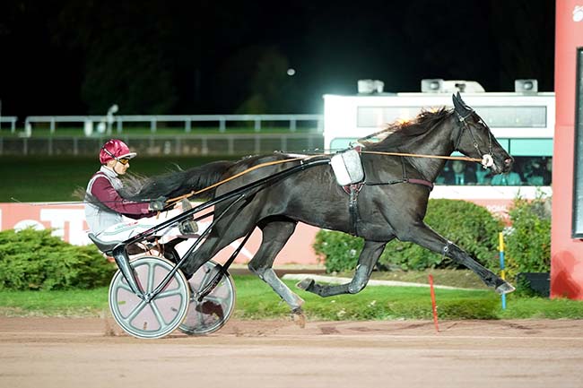 Photo d'arrivée de la course pmu PRIX DE RIBEMONT à ENGHIEN le Jeudi 20 octobre 2022