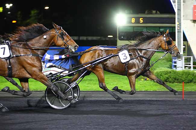 Photo d'arrivée de la course pmu PRIX THEMIS à PARIS-VINCENNES le Vendredi 21 octobre 2022