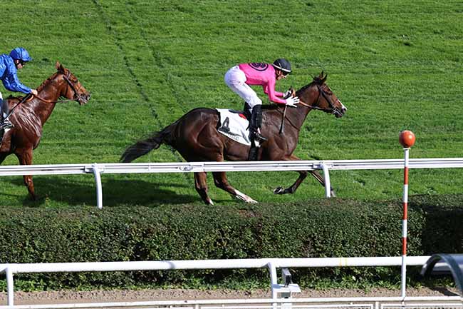 Photo d'arrivée de la course pmu PRIX PERTH à SAINT CLOUD le Samedi 22 octobre 2022