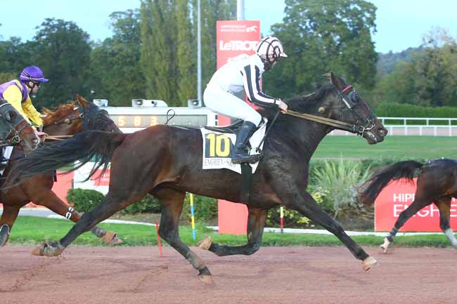 Photo d'arrivée de la course pmu PRIX DE LA PLACE DES FETES à ENGHIEN le Samedi 22 octobre 2022