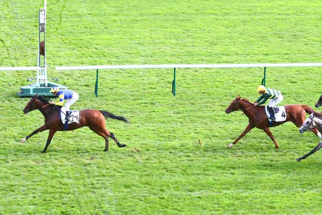Photo d'arrivée de la course pmu PRIX DE SABLONVILLE à LONGCHAMP le Dimanche 23 octobre 2022