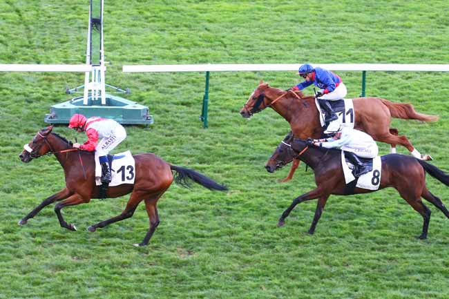 Photo d'arrivée de la course pmu PRIX DU LAC à LONGCHAMP le Dimanche 23 octobre 2022