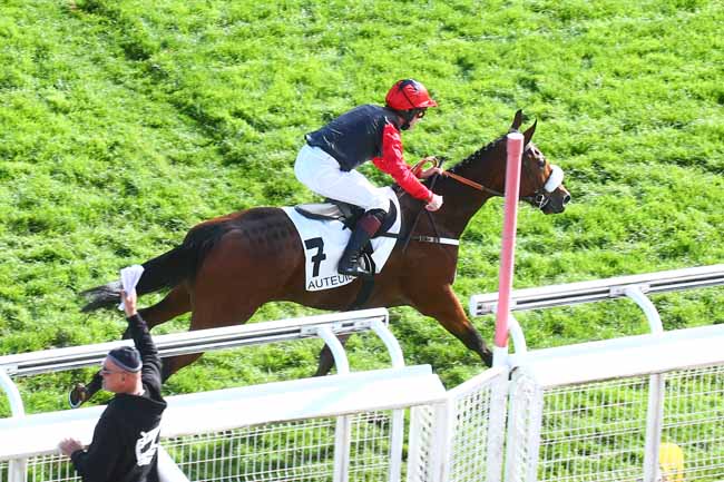 Photo d'arrivée de la course pmu PRIX SANTO PIETRO à AUTEUIL le Mardi 25 octobre 2022