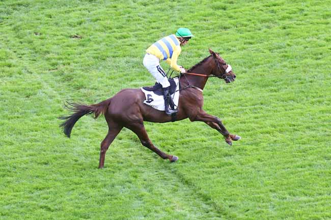 Photo d'arrivée de la course pmu PRIX MONCOURT à AUTEUIL le Mardi 25 octobre 2022