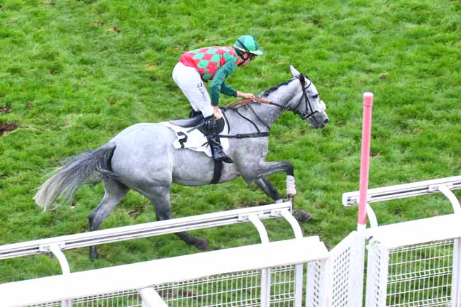 Photo d'arrivée de la course pmu PRIX HUNORISK à AUTEUIL le Mardi 25 octobre 2022
