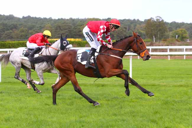 Photo d'arrivée de la course pmu PRIX PATRICE QUENEDEY à FONTAINEBLEAU le Jeudi 27 octobre 2022